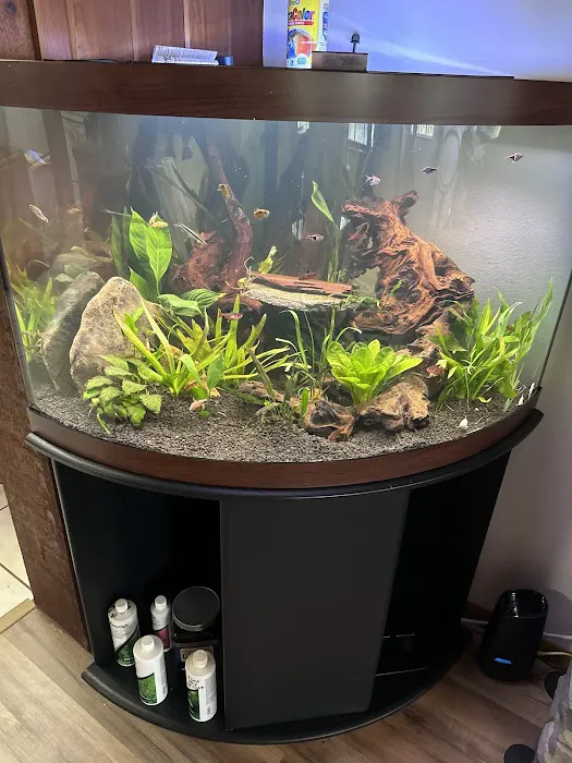 The Fish Guy Aquarium Services, LLC Picture 8