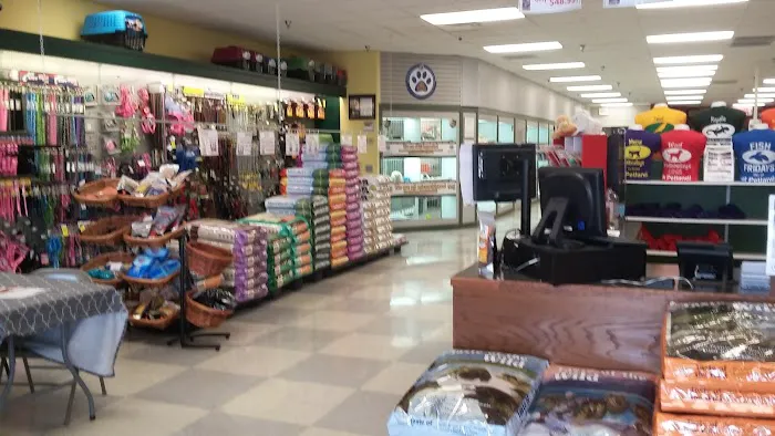 Petland Sarasota Picture 1