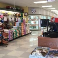 Petland Sarasota ico