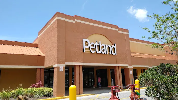 Petland Sarasota Picture 3