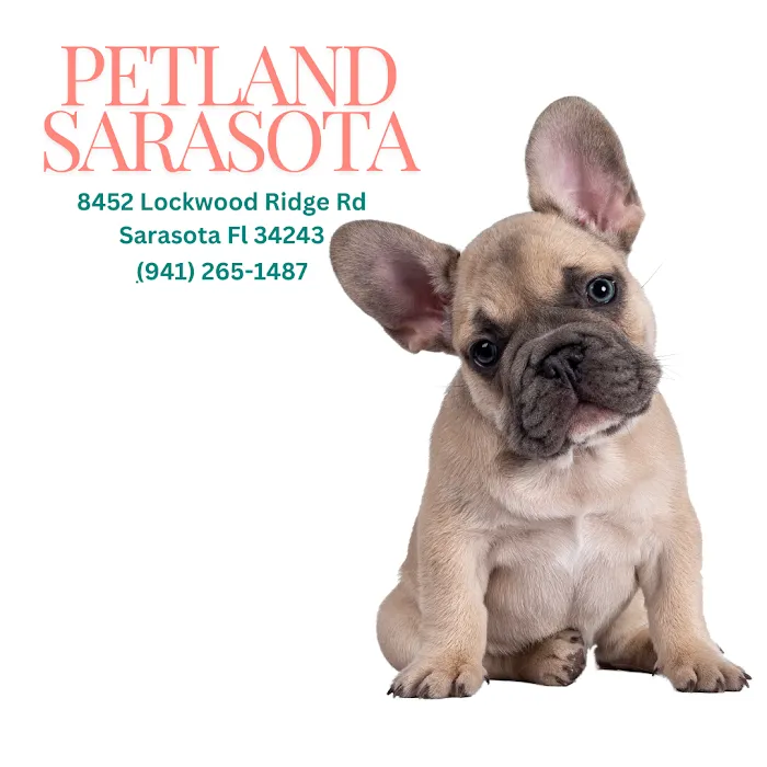 Petland Sarasota Picture 7