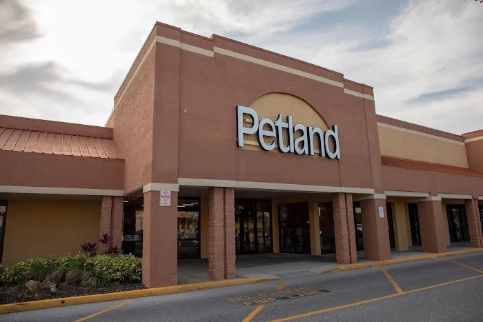 Petland Sarasota Picture 6