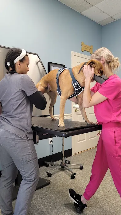 Ashfield Cheyne Veterinary Services Picture 7