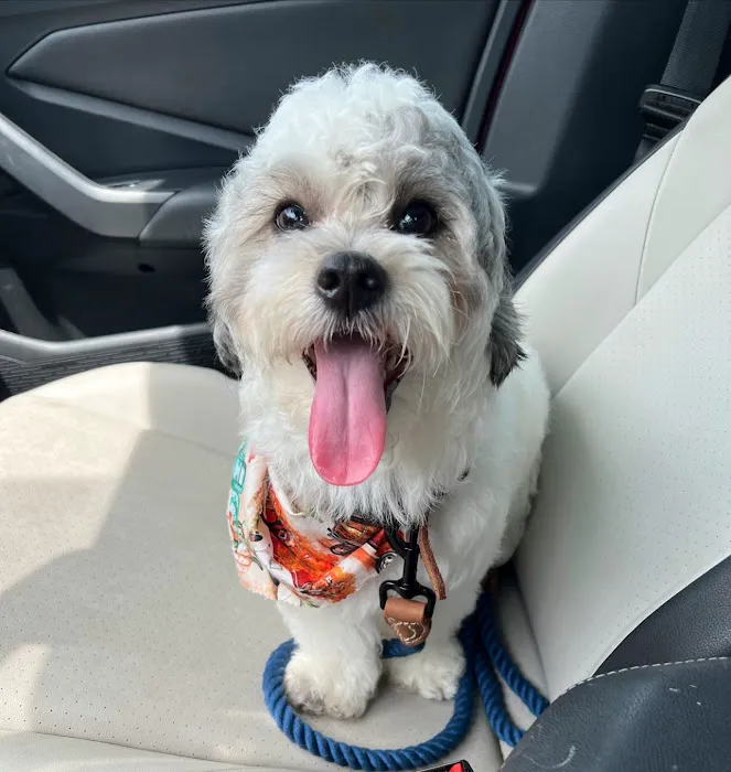 Pet Supplies Plus St. Petersburg Picture 4