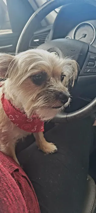 Pet Supplies Plus St. Petersburg Picture 7