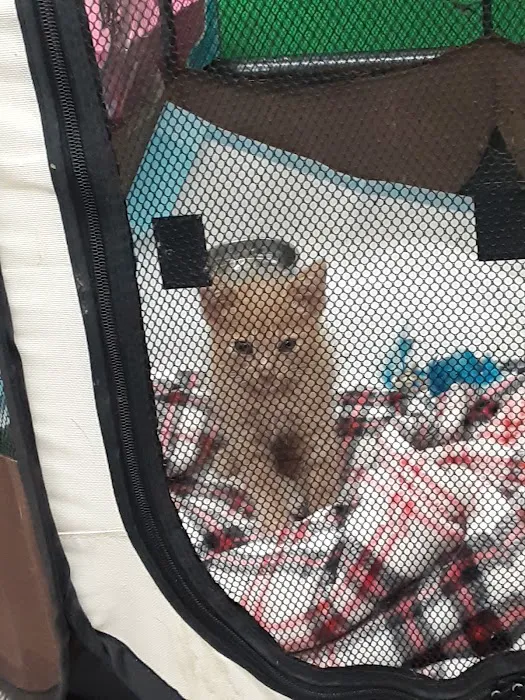 Pet Supplies Plus St. Petersburg Picture 5