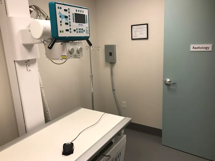 Veterinary Services of Westwood Picture 1