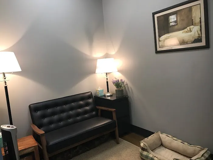 Veterinary Services of Westwood Picture 2