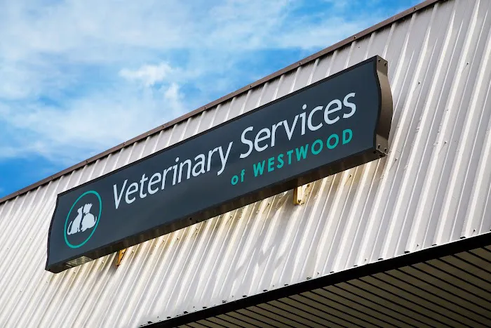 Veterinary Services of Westwood Picture 6