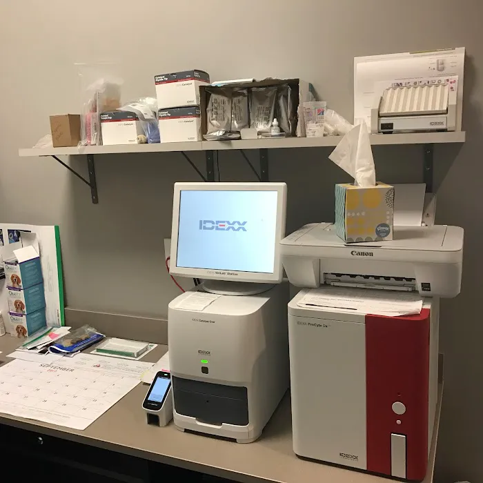 Veterinary Services of Westwood Picture 7