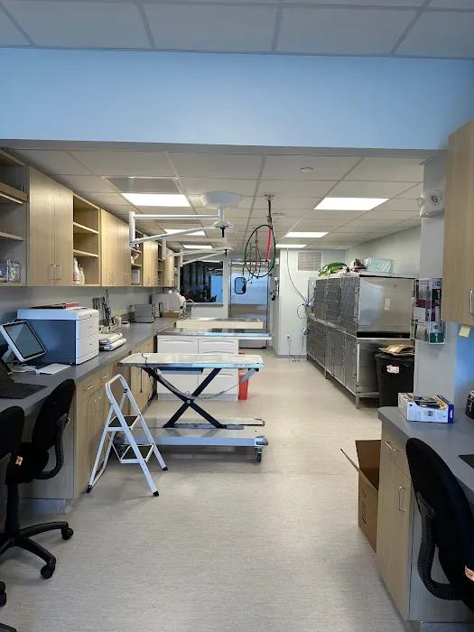 Veterinary Urgent Care Center - Dedham Picture 1