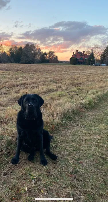 Veterinary Urgent Care Center - Dedham Picture 7