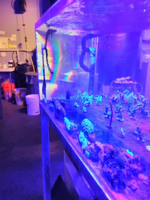 Sea Life Fish & Aquariums Picture 3