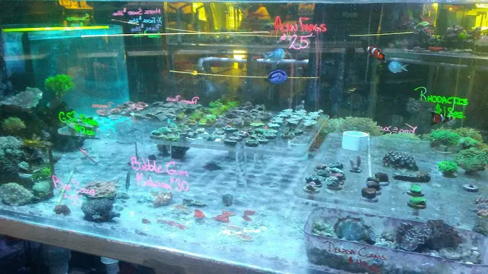 Sea Life Fish & Aquariums Picture 6