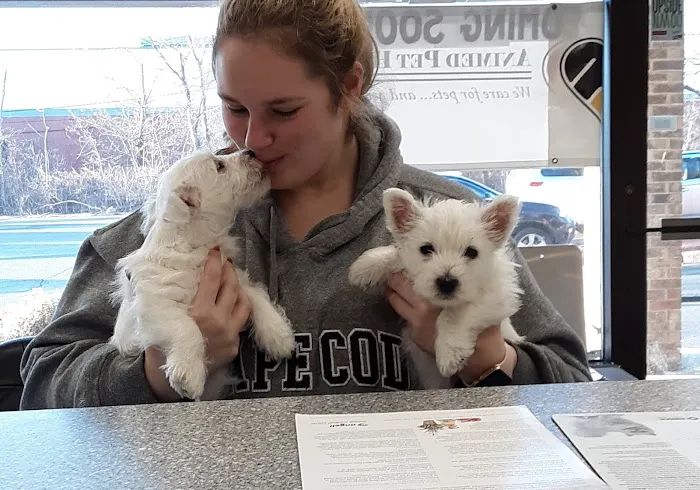 Animed Pet Hospital Picture 2