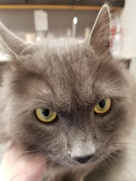 Animed Pet Hospital Picture 3