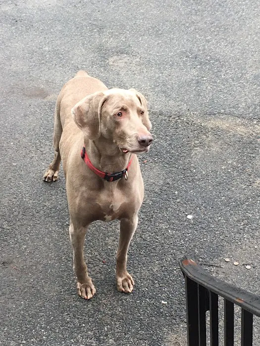 Animed Pet Hospital Picture 4