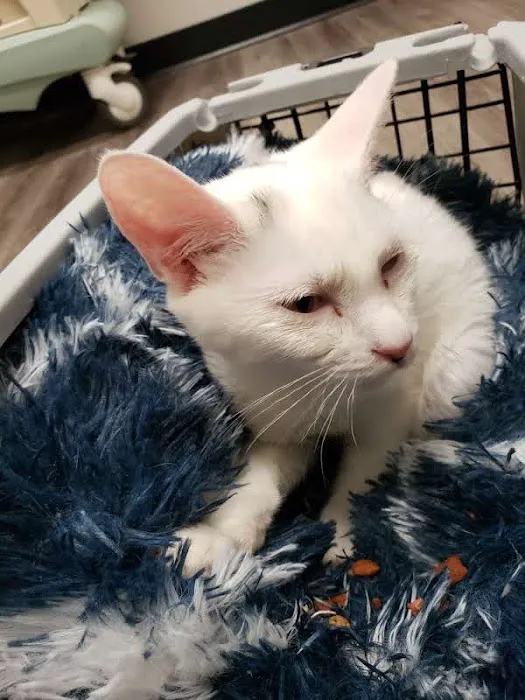 Animed Pet Hospital Picture 7