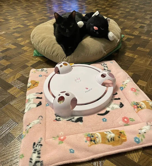 Animed Pet Hospital Picture 10