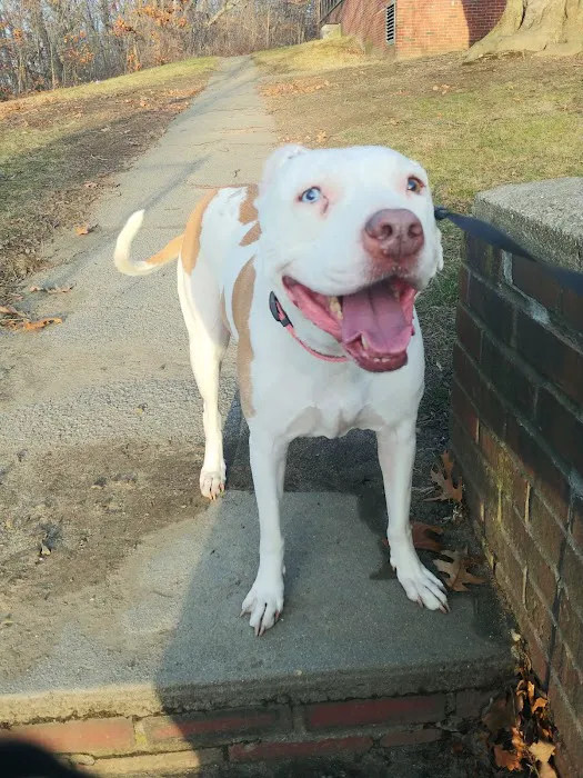 Animed Pet Hospital Picture 9