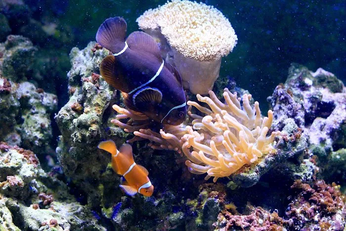 Animal House Pet Center Picture 3