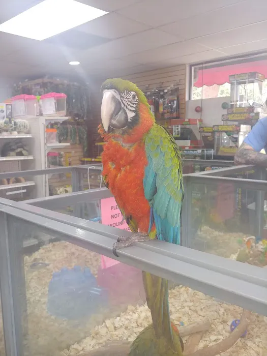 Animal House Pet Center Picture 6