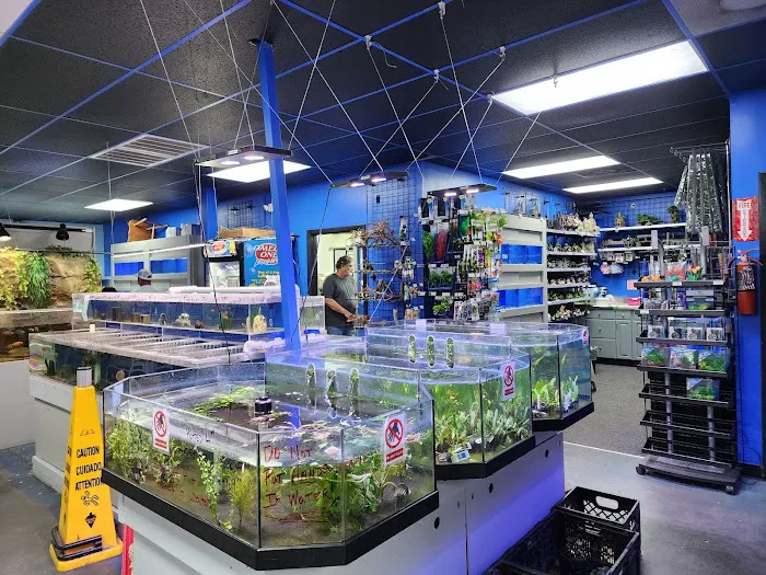 Animal House Pet Center Picture 4