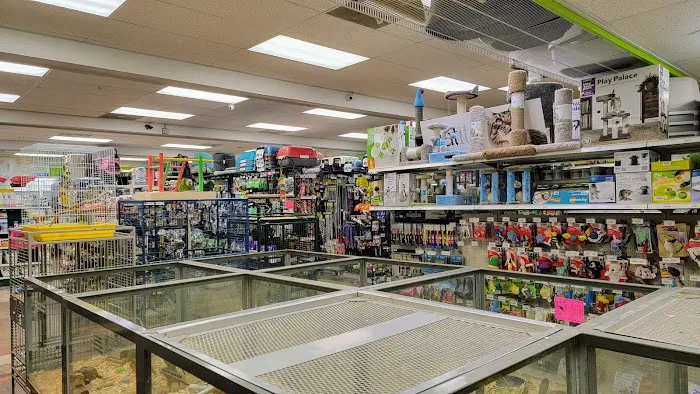 Animal House Pet Center Picture 7