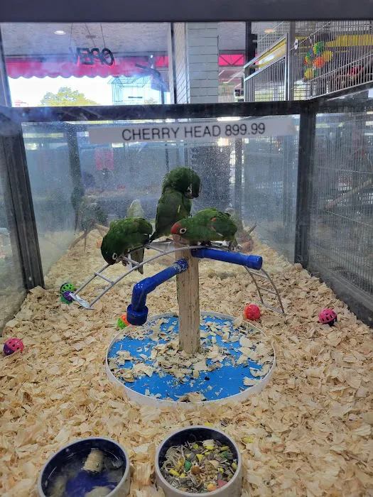 Animal House Pet Center Picture 8