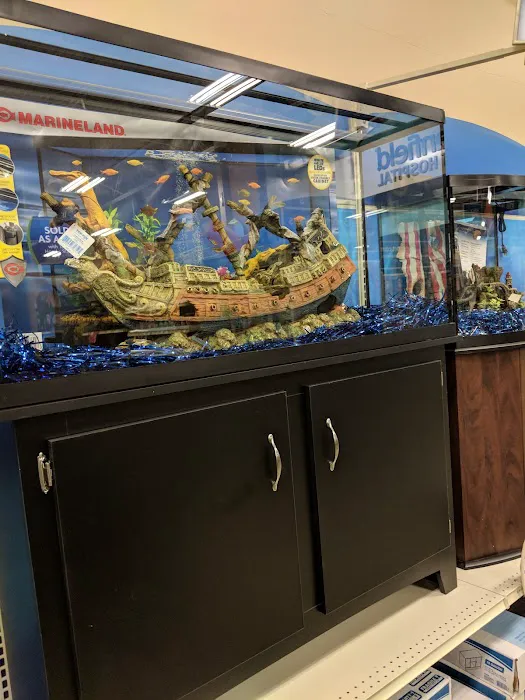 Banfield Pet Hospital Picture 7