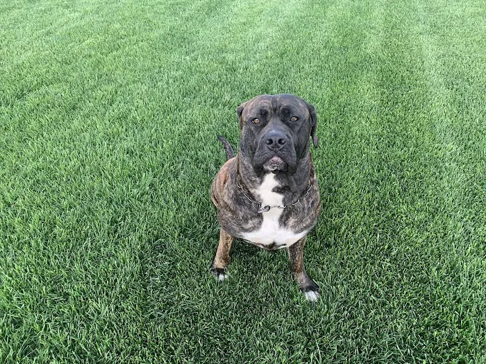 Banfield Pet Hospital Picture 9