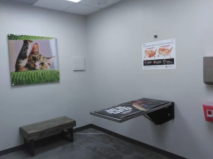 Vetco Total Care Animal Hospital Picture 6