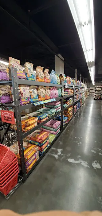 Pet Supermarket Picture 4