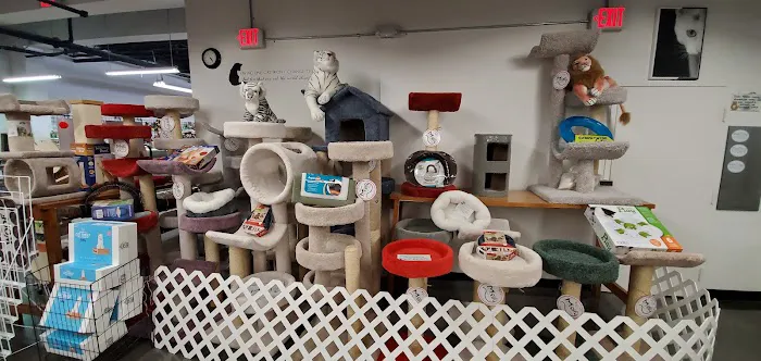 Pet Supermarket Picture 10