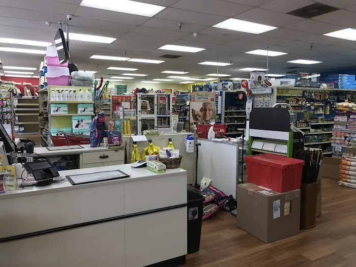 Pet Supermarket Picture 9