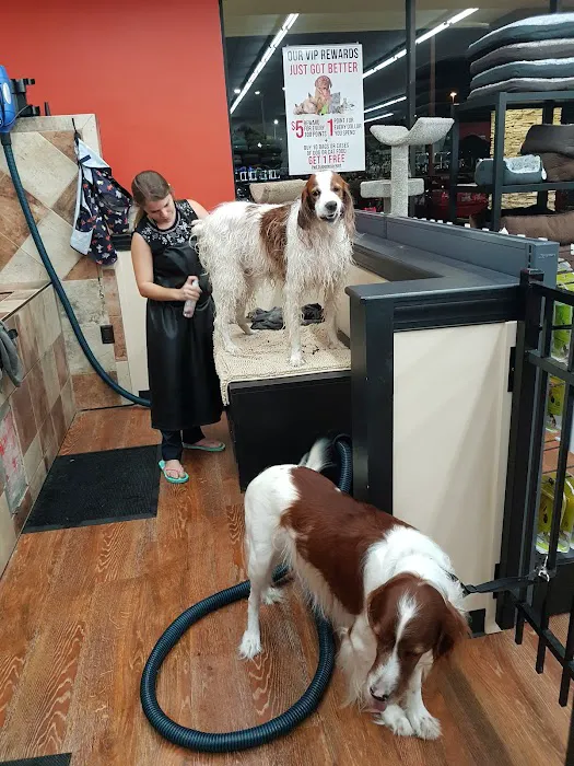 Pet Supermarket Picture 2