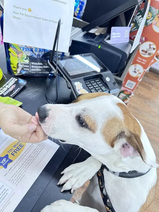 Pet Supermarket Picture 6