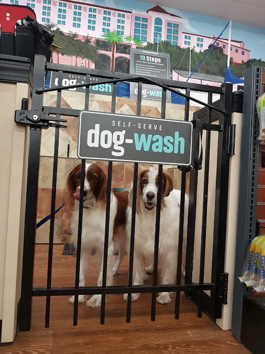 Pet Supermarket Picture 8