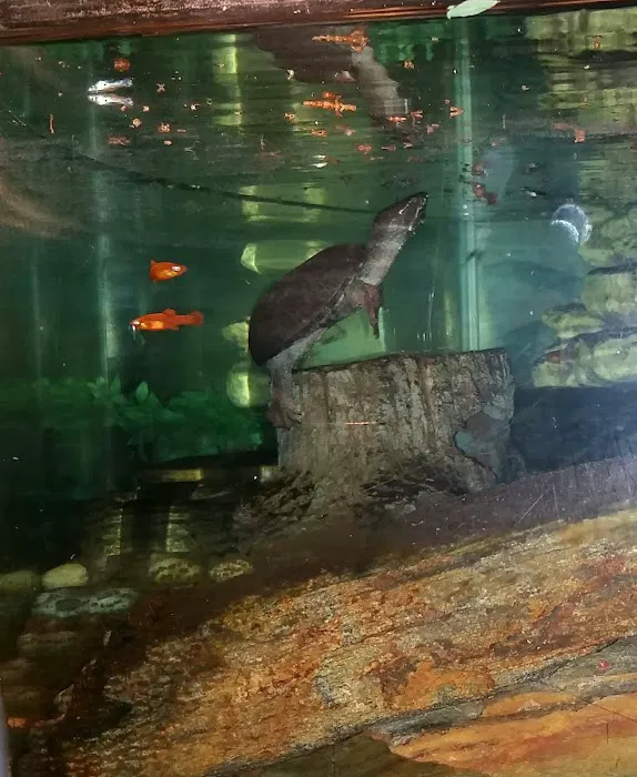 Fins and Skins Picture 1