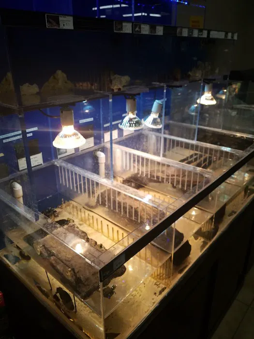 Fins and Skins Picture 2