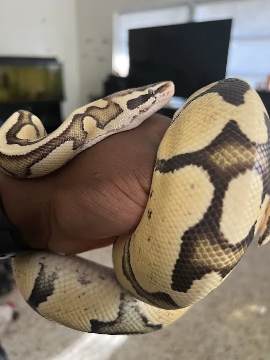 Fins and Skins Picture 5