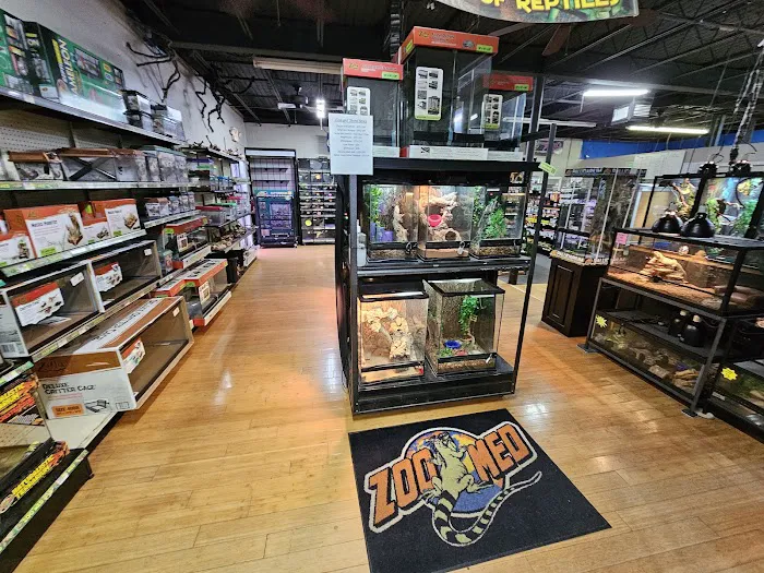 Fins and Skins Picture 10