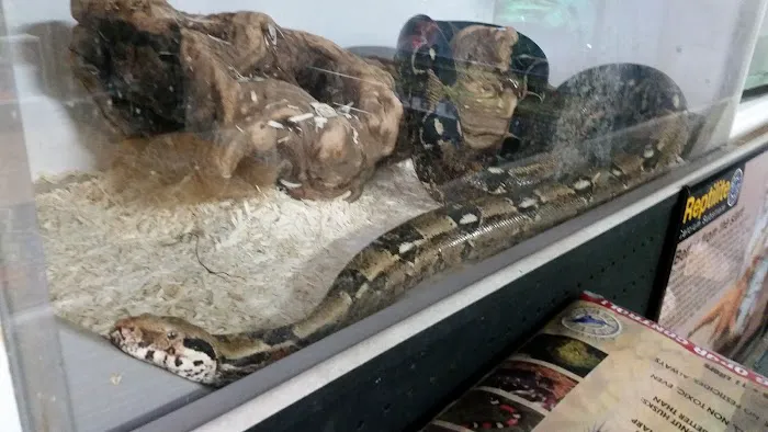 Fins and Skins Picture 9