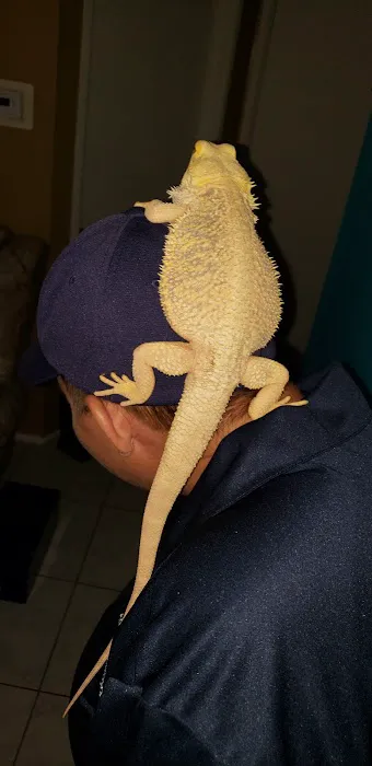 Fins and Skins Picture 8