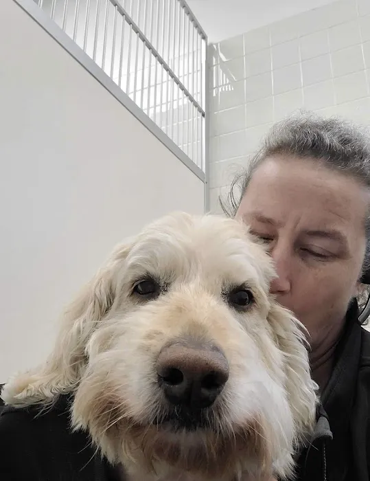 Dedham Veterinary Associates Picture 6