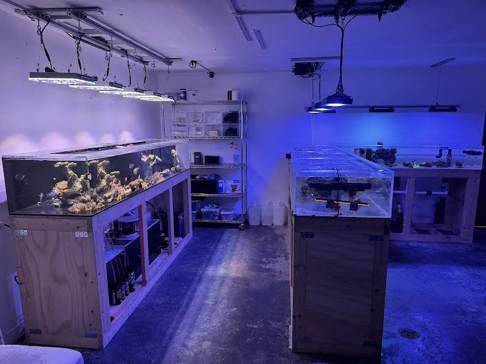 Tidalwave Aquatics Picture 1