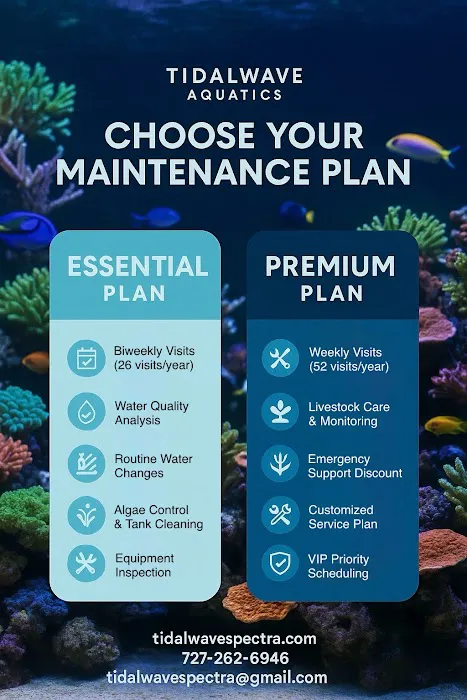 Tidalwave Aquatics Picture 2