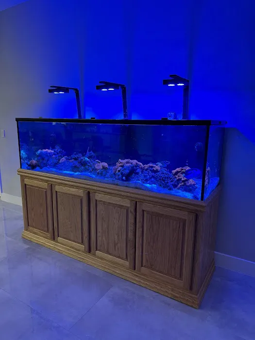 Tidalwave Aquatics Picture 4
