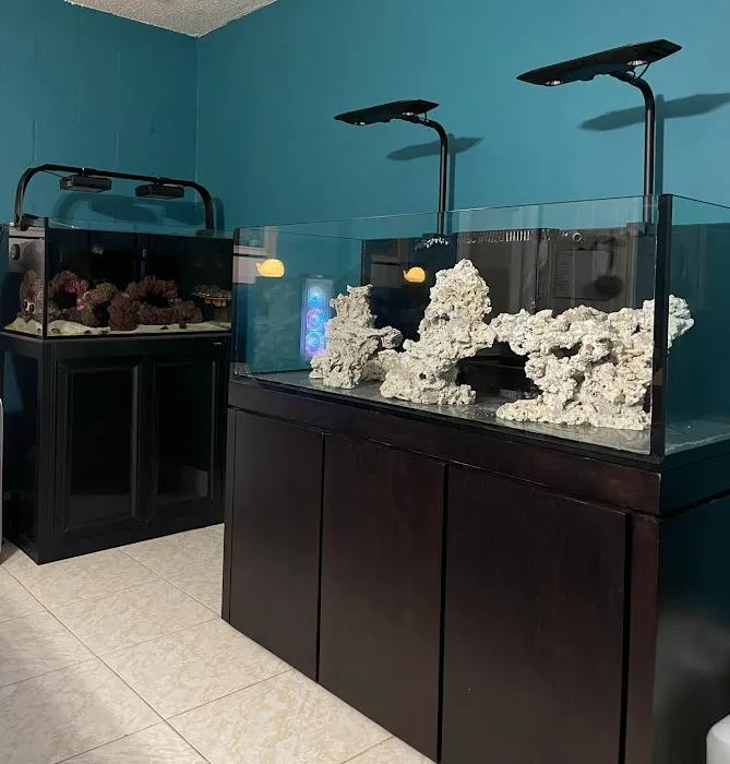 Tidalwave Aquatics Picture 3