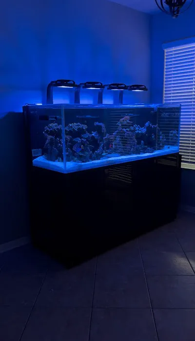 Tidalwave Aquatics Picture 9